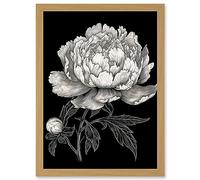 Artery8 A Peony Flower Bloom Black and White Blind Contour Artwork Framed Wall Art Print A4