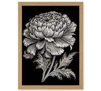 Artery8 A Single Marigold Flower Black and White Linocut Artwork Framed Wall Art Print A4