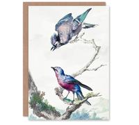 Artery8 Aert Schouman Art Card Blue Jay and a Purple Breasted Cotinga