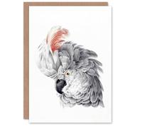 Artery8 Aert Schouman Art Card Cockatoo Parrot Head Watercolour