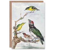 Artery8 Aert Schouman Art Card Four Different Birds on a Branch
