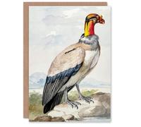 Artery8 Aert Schouman Art Card King Vulture Bird Vintage Watercolour