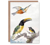 Artery8 Aert Schouman Art Card Kingfisher Toucan Bird and a Sparrow