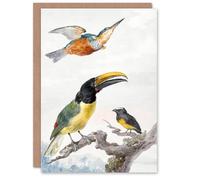 Artery8 Aert Schouman Art Card Kingfisher Toucan Bird and a Sparrow