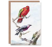 Artery8 Aert Schouman Art Card Red Green Parrot and Bird Watercolour