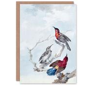 Artery8 Aert Schouman Art Card Three Crimson Sunbirds Watercolour