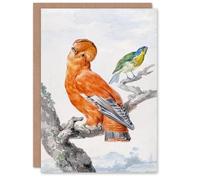 Artery8 Aert Schouman Art Card Two Exotic Birds Watercolour Painting