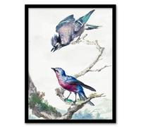 Artery8 Aert Schouman Framed Wall Art Blue Jay & a Purple Breasted Cotinga in White | Size: A3 Artery8 White A3