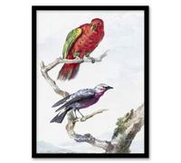 Artery8 Aert Schouman Framed Wall Art Red Green Parrot And Bird Watercolour - A3 Size