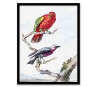 Artery8 Aert Schouman Framed Wall Art Red Green Parrot & Bird Watercolour in White | Size: A4 Artery8 White A4