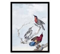 Artery8 Aert Schouman Framed Wall Art Three Crimson Sunbirds Watercolour in Blue | Size: A4 Artery8 Blue A4