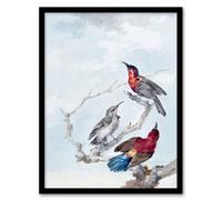 Artery8 Aert Schouman Framed Wall Art Three Crimson Sunbirds Watercolour in Blue | Size: A4 Artery8 Blue A4