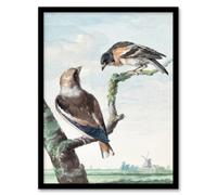 Artery8 Aert Schouman Framed Wall Art Two Hawfinch Birds in Rural Landscape in Blue | Size: A4 Artery8 Blue A4