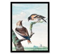 Artery8 Aert Schouman Framed Wall Art Two Hawfinch Birds in Rural Landscape in Blue | Size: A3 Artery8 Blue A3