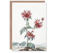 Artery8 Aert Schouman Personalised Art Card Red Bergamot Flowers in a Landscape