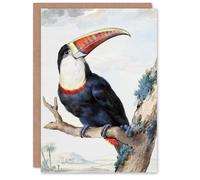 Artery8 Aert Schouman Personalised Art Card Red Billed Toucan Bird Painting