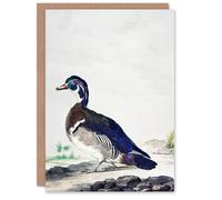 Artery8 Aert Schouman Personalised Art Card Wood Duck Vintage Bird Oil Painting