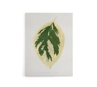 Artery8 AF Lydon B Fawcett Hydrangea Japonica Variegata Leaf Canvas Art Print in White | Size: W18" x H24" Artery8 White W18" x H24"