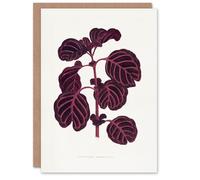 Artery8 AF Lydon B Fawcett Pink Achyranthes Verschaffeltii Blank Art Greeting Card