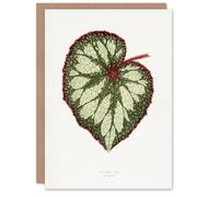 Artery8 AF Lydon Benjamin Fawcett Begonia Rex Leaf Personalised Art Greeting Card