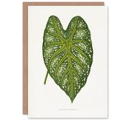 Artery8 AF Lydon Benjamin Fawcett Caladium Mirabile Leaf Personalised Art Greeting Card