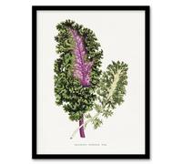 Artery8 AF Lydon Benjamin Fawcett Green Wild Cabbage Leaf Framed Art Print in White | Size: A4 Artery8 White A4