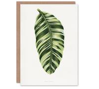 Artery8 AF Lydon Benjamin Fawcett Musa Paradisiaca Vittata Blank Art Greeting Card