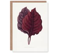 Artery8 AF Lydon Benjamin Fawcett Red Amaranth Leaf Blank Art Greeting Card