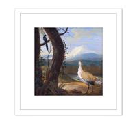 Artery8 Agricola Bustard Magpie Exotic Landscape Painting 8X8 Inch Square Wooden Framed Wall Art Print Picture with Mount in White Artery8 White