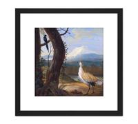 Artery8 Agricola Bustard Magpie Exotic Landscape Painting 8X8 Inch Square Wooden Framed Wall Art Print Picture with Mount in Black Artery8 Black