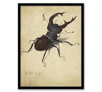 Artery8 Albrecht Durer Stag Beetle Nature Study Painting Artwork Framed Wall Art Print A4
