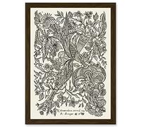 Artery8 Alexander Senegat Design For Textiles Etching Artwork Framed Wall Art Print A4 in Brown Artery8 Brown