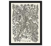 Artery8 Alexander Senegat Design For Textiles Etching Artwork Framed Wall Art Print A4