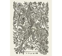 Artery8 Alexander Senegat Design For Textiles Etching Large XL Wall Art Canvas Print