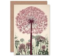 Artery8 Allium Flower Blooms Wildflower Spring Bright Floral for Wife Her Mum Sister Daughter Mom Nan Birthday Thank You Congratulations Blank Art Greeting Card