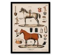 Artery8 Alp Camille Jeune Framed Wall Art Vintage Horseback Riding Equipment in Beige | Size: A3 Artery8 Beige A3