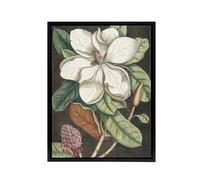 Artery8 Altissima Flower Laurel Tree Magnolia Catesby Framed Canvas Wall Art | Size: W24" x H32" Artery8 Multicolor W24" x H32"