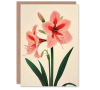 Artery8 Amaryllis Flower Bloom Stylised Botanical Design Greeting Card in Pink Artery8 Pink