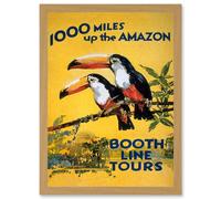Artery8 Amazon Toucan River Brazil South America Jungle Rain Forest Vintage Travel Advert Artwork Framed Wall Art Print A4 in Light Oak Artery8 Light Oak