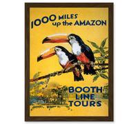 Amazon Toucan River Brazil South America Jungle Rain Forest Vintage Travel Advert Artwork Framed Wall Art Print A4 Artery8 Brown One Size