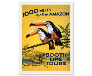 Artery8 Amazon Toucan River Brazil South America Jungle Rain Forest Vintage Travel Advert Artwork Framed Wall Art Print A4 in White Artery8 White