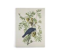 Artery8 American Crow on Walnut Tree Audubon Nature Canvas Wall Art in White | Size: W12" x H16" Artery8 White W12" x H16"