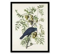 Artery8 American Crow on Walnut Tree Audubon Nature Framed Wall Art Print in White | Size: W12" x H16" Artery8 White W12" x H16"