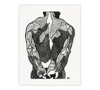 Artery8 Anatomical study of mans back muscles By Reijer Stolk Wall Art Print 12X16 : Classical figure study exuding precision ideal for study or anatomy enthusiast’s living room