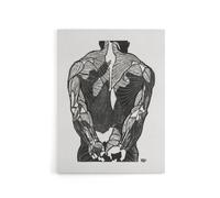 Artery8 Anatomical study of mans back muscles Stolk Canvas Wall Art Print in White | Size: W18" x H24" Artery8 White W18" x H24"