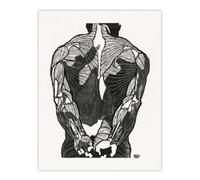Artery8 Anatomical study of mans back muscles Stolk Wall Art Poster Print in White | Size: W12" x H16" Artery8 White W12" x H16"