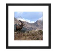 Artery8 Andrewmckie Red Deer Stag Glen Etive Scotland Photo 8X8 Inch Square Wooden Framed Wall Art Print Picture with Mount in Black Artery8 Black