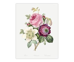 Artery8 Anemone and Cabbage Rose Flower Large Wall Art Poster Print 18X24 Inch Artwork By Redoute : Spring Bouquet Plate Bringing Freshness And Harmony To Contemporary Dining Area