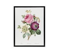 Artery8 Anemone & Cabbage Rose Flower Redoute Vintage Framed Canvas Wall Art in White | Size: W18" x H24" Artery8 White W18" x H24"