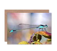 Artery8 Animal Insect Dragonfly Birthday Card Artery8 Multicolor